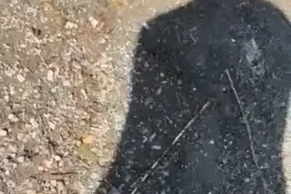 Yakaladığı yılanla arkadaşını kovaladı
