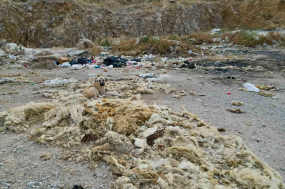 Çöplüğe dönen kum ocağında çevre felaketi yaşanıyor

