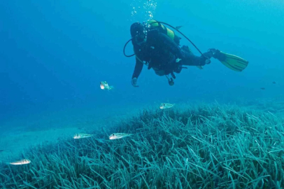 Türkiye’nin ilk Deniz Milli Parkı Fethiye-Kaş ve Kuzey Ege sınırlarında
