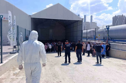 Domates serasında zehirlenme: 10 çalışan hastaneye kaldırıldı
