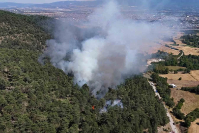 Bolu’daki orman yangını kontrol altına alındı
