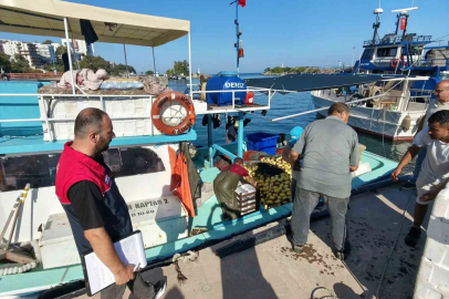 Akçakoca’da balıkçılar sezona hızlı başladı
