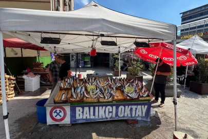 Balıkçı esnafından yeni sezon müjdesi, "Bu sene denizden balık fışkıracak"
