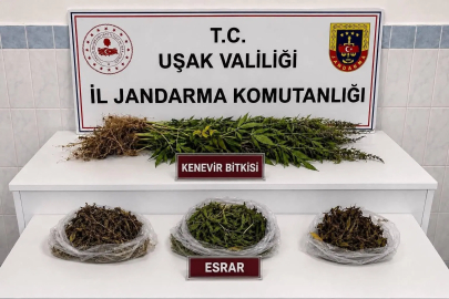 Uşak’ta kaçakçılık operasyonu
