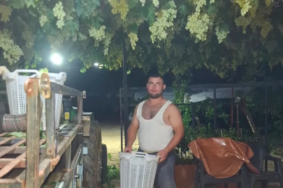 Sarıgöl’de üzüm için gece mesaisi
