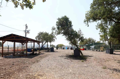 Nilüfer’de sahipsiz hayvanlar için yeni yuva
