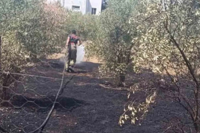 Dörtyol’da bahçe yangını kontrol altına alındı
