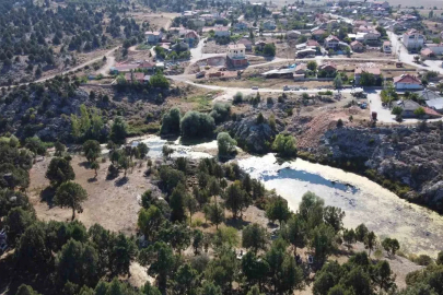 Beyşehir’in simge misafirleri göç etti, yuvalar boş kaldı
