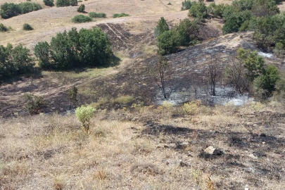 Anız yangınında yaklaşık 25 dönüm arazi küle döndü
