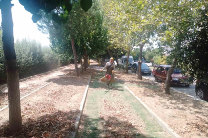 Köşk’te park ve yeşil alanlarda bakım çalışmaları sürüyor
