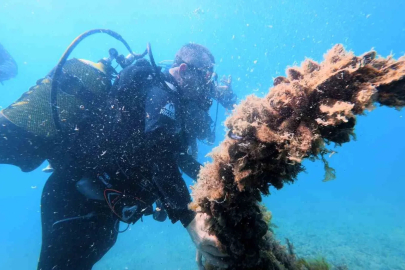 Karadeniz kıyılarındaki ilk su altı kazısında 2 bin 500 yıllık tarihe daldılar
