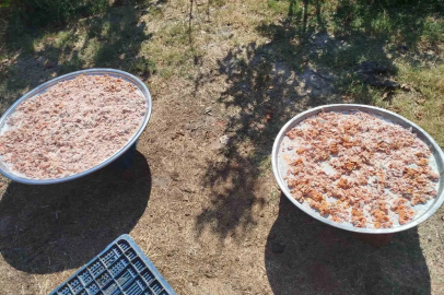 Köşk Başçayır’da geleneksel kışlık tarhana hazırlıkları başladı
