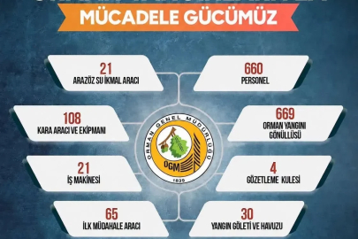 Sinop’ta orman yangınlarına karşı seferberlik
