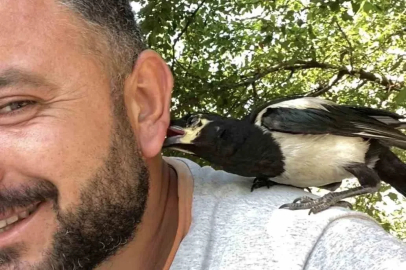 Perişan ismini verdiği saksağanı omuzundan indirmiyor
