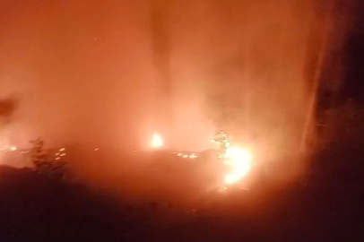 Alanya’da ormanlık alan yangınında 2 dönüm alan zarar gördü
