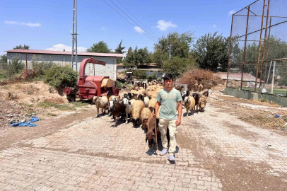 Öksüz ve yetim çoban Suriyeli Abdurrahman’dan kendine sahip çıkan aileye yürek ısıtan teşekkür

