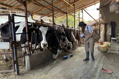 Babasının geçirdiği iş kazasıyla çiftliğin yükü omuzlarına bindi, o ise üretmekten vazgeçmedi
