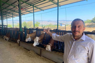 Kaliteli süt nasıl olmalı
