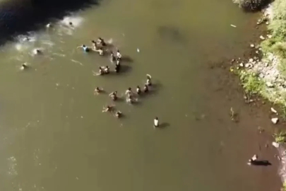 Bingöl’de suda kaybolan kişiyi vatandaşların kurtarma mücadelesi dronla görüntülendi
