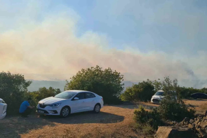 Kocaeli Valiliğinden Gebze’deki orman yangınına ilişkin açıklama
