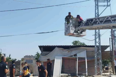 Elektrik direğinde erkek cesedi bulundu
