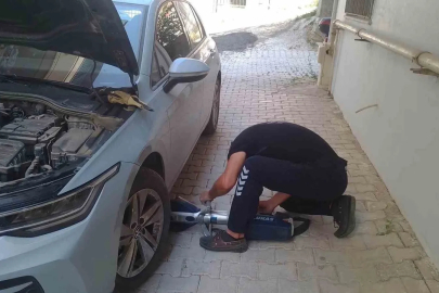 Reyhanlı ve Defne’de mahsur kalan kediler kurtarıldı
