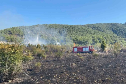 Bilecik’te çıkan tarla yangını ormana sıçramadan söndürüldü
