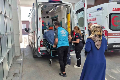 İncir toplarken ağaçtan düşen kişi yaralandı
