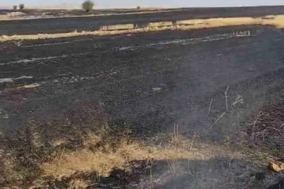 Anız ateşi kontrelden çıktı, bin dönüm otluk alan yandı
