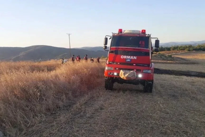 Sinop’ta anız yangını korkuttu
