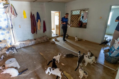 Mersin’de ‘çöp ev’ ihbarından yaklaşık 100 kedi çıktı
