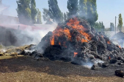 Kars’ta bin ot balyası kül oldu

