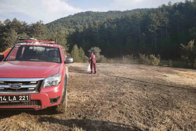 Bolu’da orman kenarında anız yangını: Köylülerin su tankerli müdahalesi faciayı önledi
