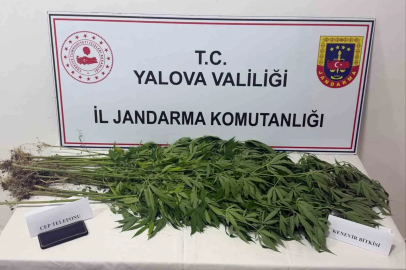Yalova’da uyuşturucu operasyonu: 3 gözaltı
