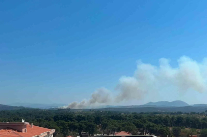Ayvacık’ta otluk alanda yangın çıktı
