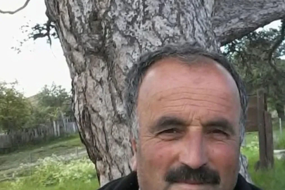 Üzerine ağaç devrilen vatandaş hayatını kaybetti
