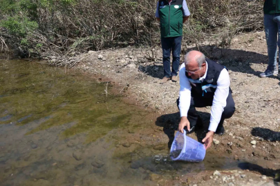 Atikhisar Barajı’na 348 bin sazan balığı yavrusu bırakıldı
