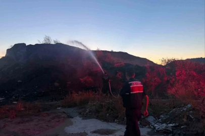 Bilecik’te ot ve çalılık yangını
