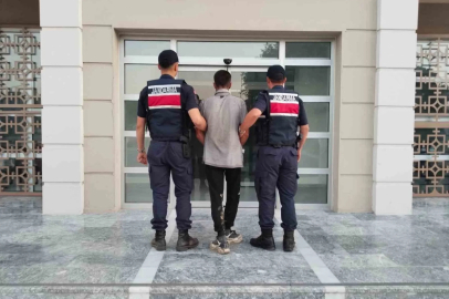 Germencik’te incir hırsızlığına suçüstü
