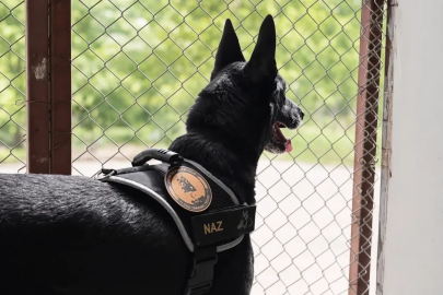 Narkotik operasyonlarının kahramanı narkotik köpeği emekli oldu
