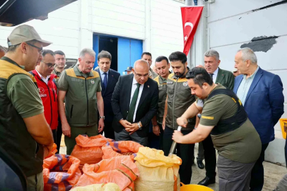 TMO, Giresun’da fındık alımına başladı
