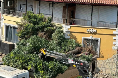 Sındırgı’da yol yapım çalışmaları sırasında ağaçlar söküldü
