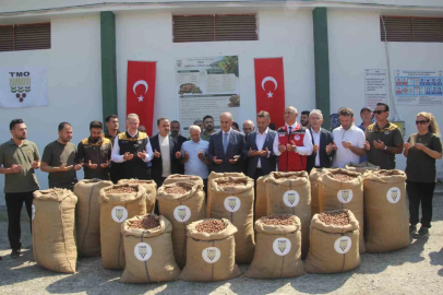 TMO Genel Müdürü Güldal: "Geçen yılın fındık mahsulü bu yıl kesinlikle alınmayacak"

