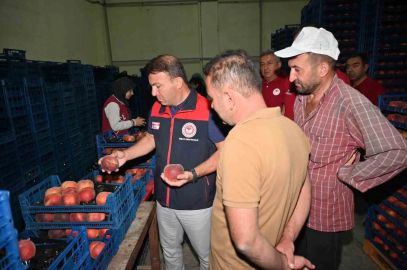 Çivril’de şeftalinin üretimden pazarlamaya yolculuğu incelendi

