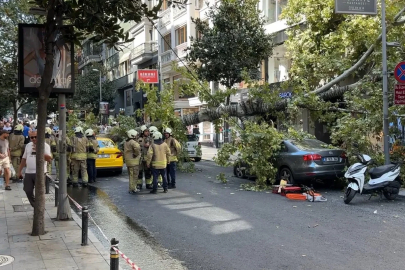 Nişantaşı’nda çınar ağacı iki aracın üzerine devrildi
