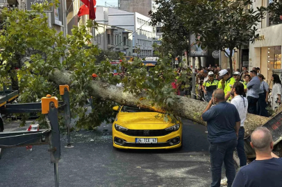 Şişli’de araçların üzerine devrilen çınar ağacı kaldırıldı
