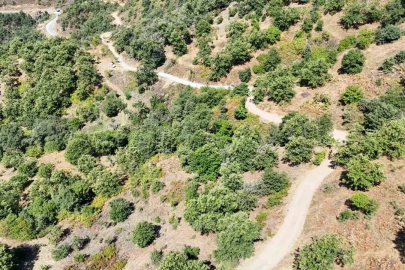 Nazilli Belediyesi Apaklar’da yolları yeniliyor

