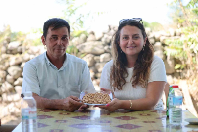 Yuntdağı’nda fıstık hasadı için geri sayım başladı
