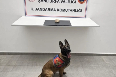 Şanlıurfa’da uyuşturucu operasyonu: 1 tutuklama
