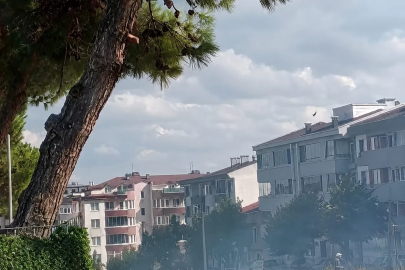 Düğün konvoyundan atılan havai fişek çam ağacını yaktı
